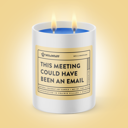 This Meeting Could Have Been An Email - 11oz - Sea Minerals